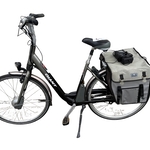 Elektrische fiets, Giant, Twist